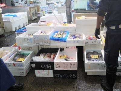 豊洲から直接仕入れ
